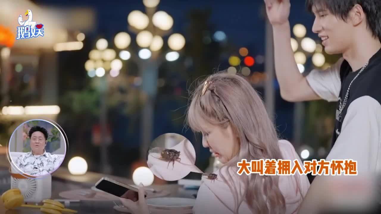 寻找遗失的玩具车